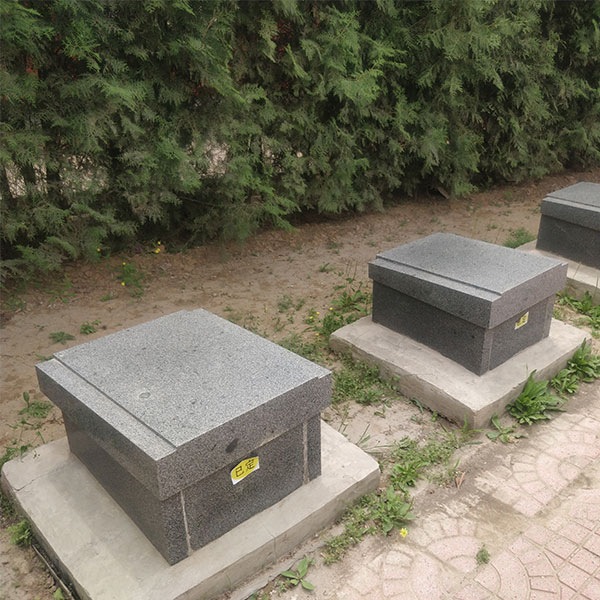 龙山公墓家族墓